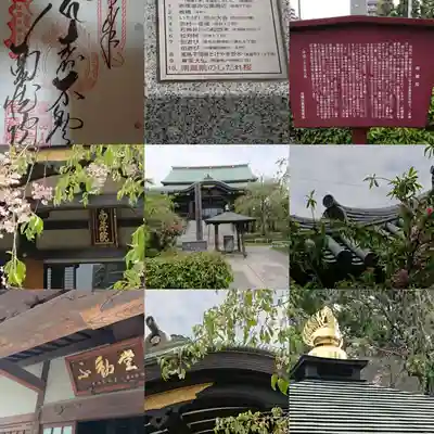 宝勝山　南藏院   蓮光寺(東京都)