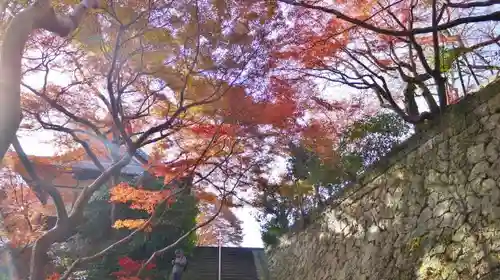 観音寺（山崎聖天）の本殿