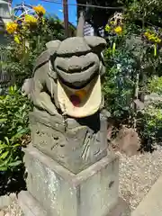 菊田神社の狛犬