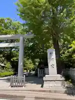 阿佐ヶ谷神明宮の鳥居