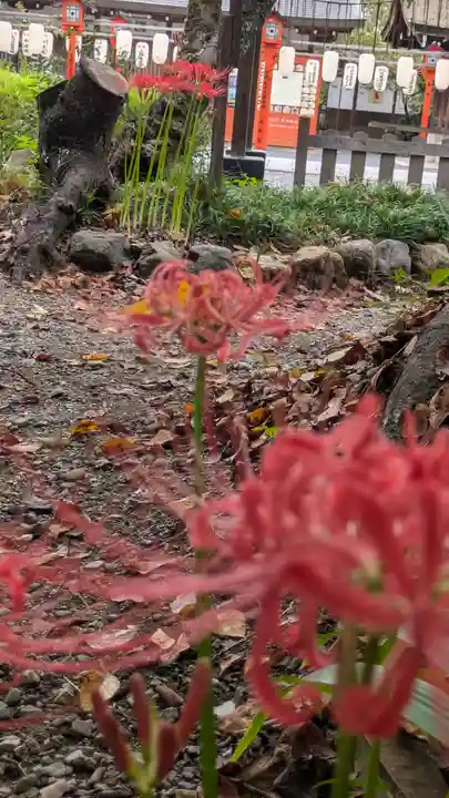 平野神社(京都府)