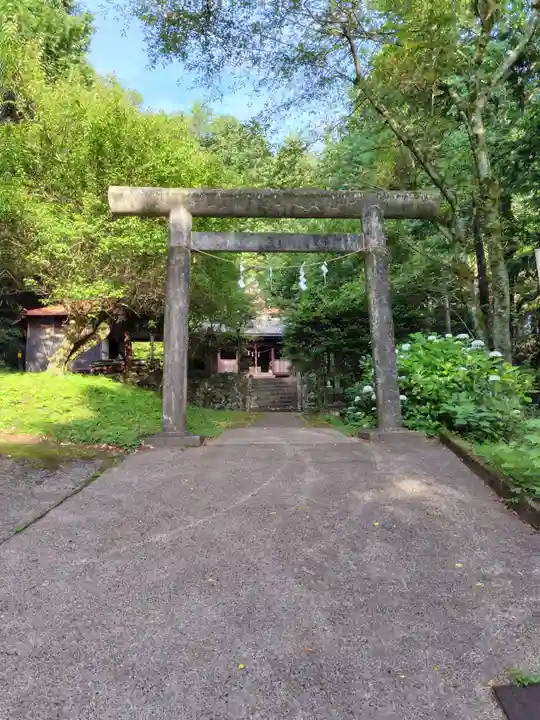 子神社(神奈川県)