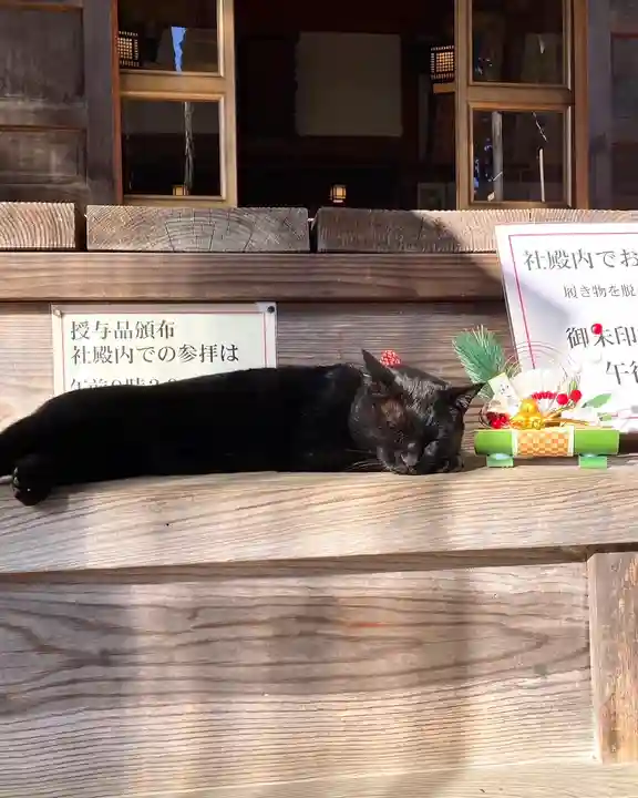 高司神社〜むすびの神の鎮まる社〜(福島県)