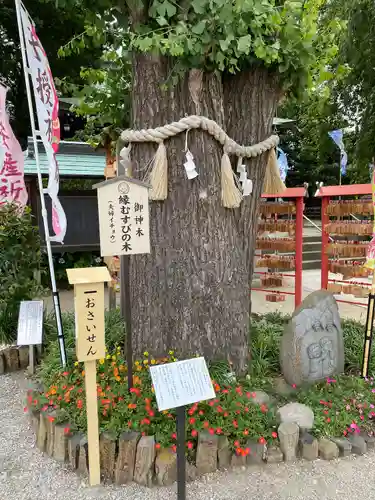 川越八幡宮の自然