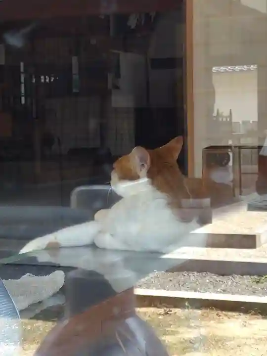 伊勢神社の動物