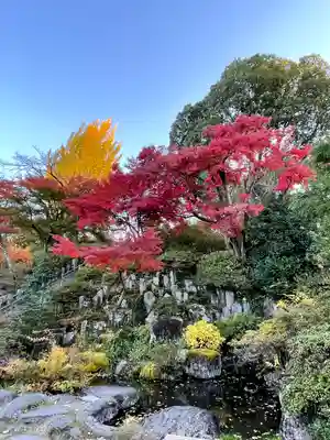 達磨寺(群馬県)