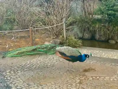 楽法寺(雨引観音)(茨城県)