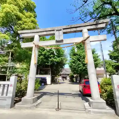 若宮八幡宮 (神奈川県)
