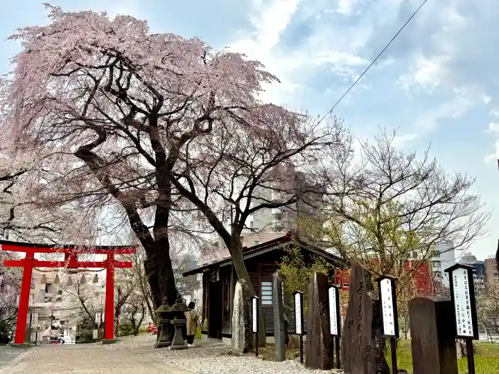榴岡天満宮の{uncategorized: "未分類", other: "その他", undefined: "問題あり", building: "その他建物", grave: "お墓", sacred_gate: "鳥居", guardian: "狛犬", statue: "像", buddha: "仏像", history: "歴史", nature: "自然", garden: "庭園", animal: "動物", pagoda: "塔", temizu: "手水舎", mountain_gate: "山門・神門", sanctuary: "本殿・本堂", subordinate: "末社・摂社", art: "芸術", scenery: "景色", jizo: "地蔵", ema: "絵馬", goshuin: "御朱印", omikuji: "おみくじ", items: "授与品その他", amulet: "お守り", goshuincho: "御朱印帳", eats: "食事", festival: "お祭り", votive_dance: "神楽", shichigosan: "七五三参", wedding: "結婚式", experience: "体験その他", initially: "初詣", around: "周辺", anti_infection: "感染症対策"}