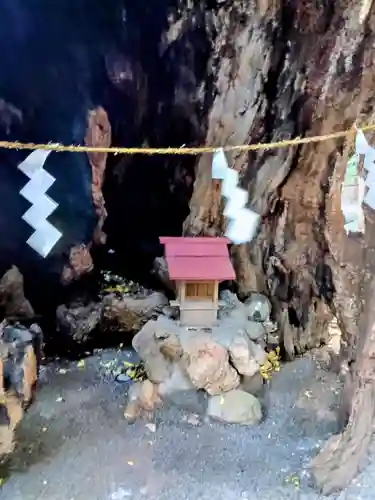 來宮神社(静岡県)