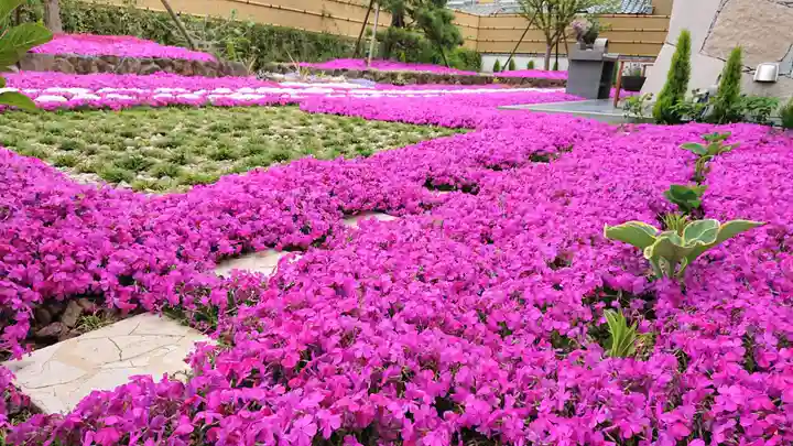 寿量山 速成寺の自然