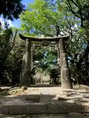 妻山神社の鳥居