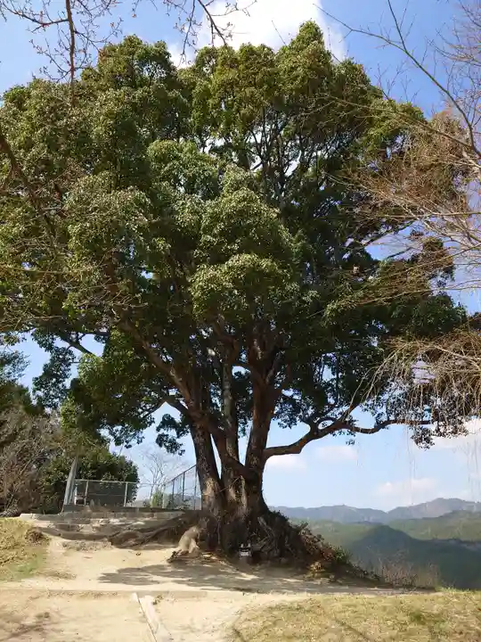 サムハラ神社 奥の宮(岡山県)