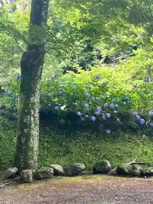 普門寺(岩手県)