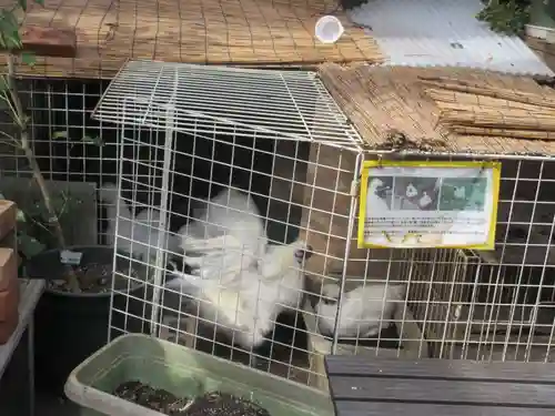 榮久山大法寺(東京都)