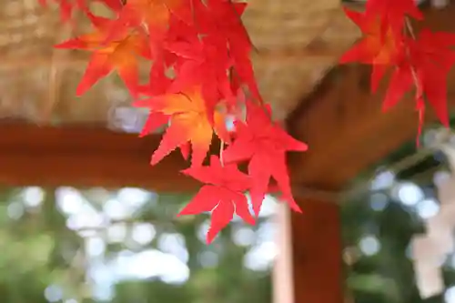 阿久津「田村神社」（郡山市阿久津町）旧社名：伊豆箱根三嶋三社の手水