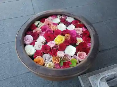 法盛寺の手水舎