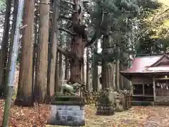 巖鬼山神社の自然