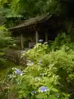 安國論寺(安国論寺)の庭園