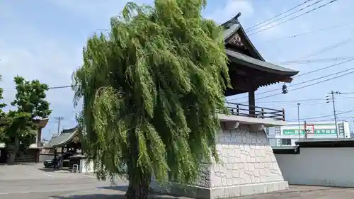 龍徳寺の建物その他