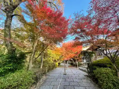 曼殊院門跡(京都府)