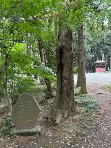 間々田八幡宮の{uncategorized: "未分類", other: "その他", undefined: "問題あり", building: "その他建物", grave: "お墓", sacred_gate: "鳥居", guardian: "狛犬", statue: "像", buddha: "仏像", history: "歴史", nature: "自然", garden: "庭園", animal: "動物", pagoda: "塔", temizu: "手水舎", mountain_gate: "山門・神門", sanctuary: "本殿・本堂", subordinate: "末社・摂社", art: "芸術", scenery: "景色", jizo: "地蔵", ema: "絵馬", goshuin: "御朱印", omikuji: "おみくじ", items: "授与品その他", amulet: "お守り", goshuincho: "御朱印帳", eats: "食事", festival: "お祭り", votive_dance: "神楽", shichigosan: "七五三参", wedding: "結婚式", experience: "体験その他", initially: "初詣", around: "周辺", anti_infection: "感染症対策"}