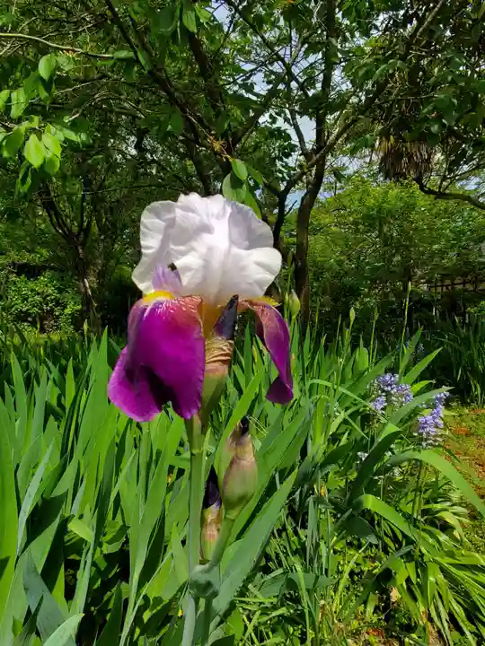 上合寺(福島県)