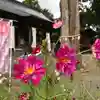 高司神社〜むすびの神の鎮まる社〜の自然