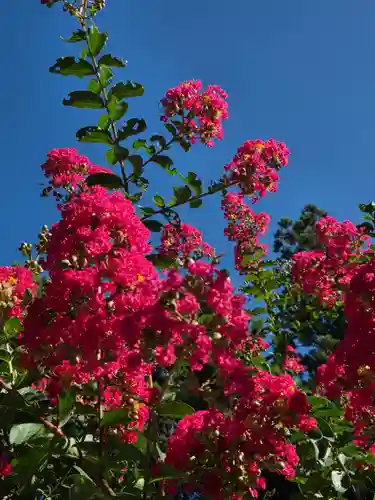 沙沙貴神社(滋賀県)