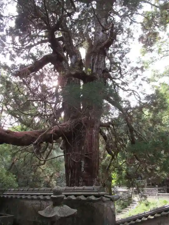 万松院(長崎県)
