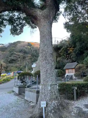 走水神社の自然