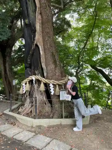 常陸國總社宮(茨城県)
