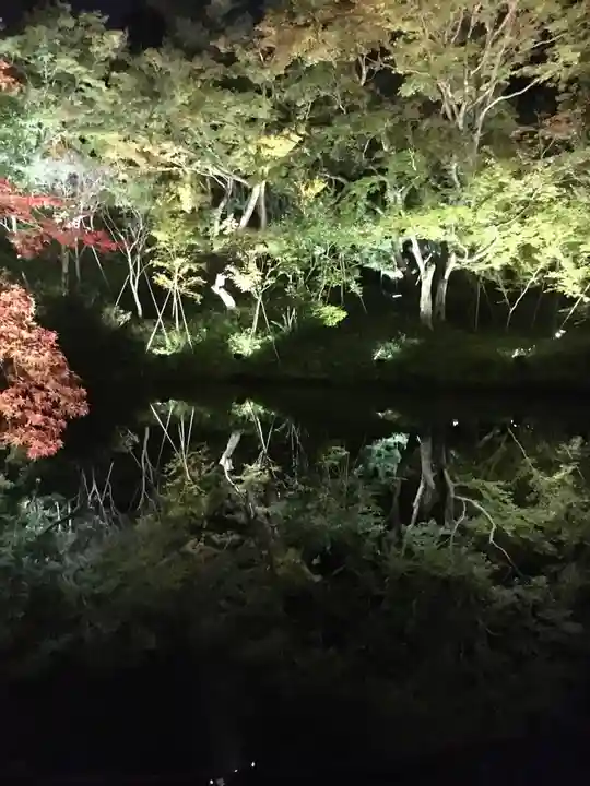 高台寺(高台寿聖禅寺・高臺寺)の自然