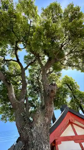 姫嶋神社(大阪府)