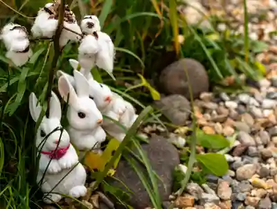 三輪神社(愛知県)