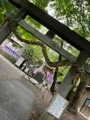 下野 星宮神社(栃木県)