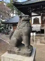 観音寺（世田谷山観音寺）の狛犬