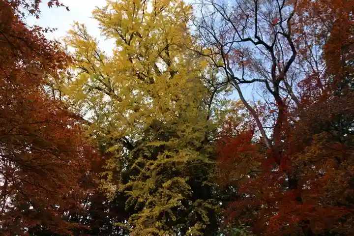 三春大神宮の自然