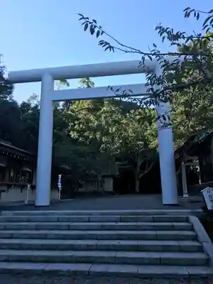 安房神社の鳥居