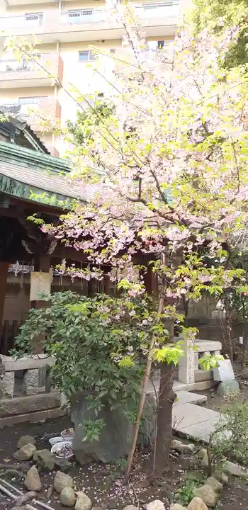 小野照崎神社の自然