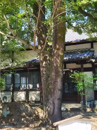 本土神社の自然