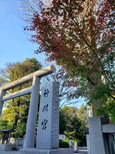 阿佐ヶ谷神明宮(東京都)