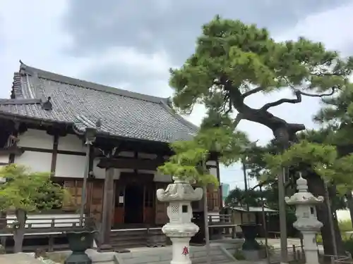 南蔵院の本殿・本堂