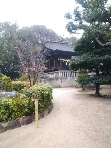 阿智神社の本殿