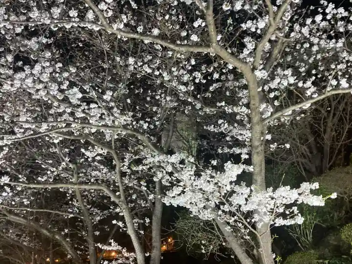 大船観音寺(神奈川県)