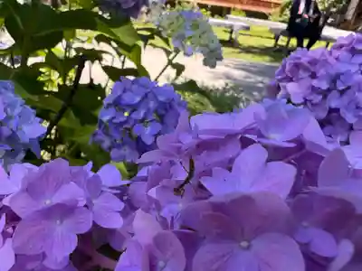 秩父札所十三番 慈眼寺(埼玉県)