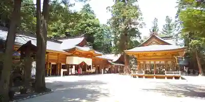 穂高神社本宮の本殿・本堂
