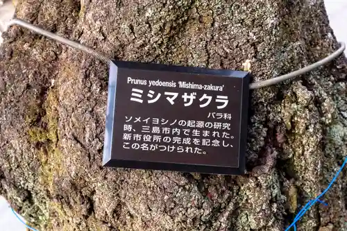 三嶋大社(静岡県)