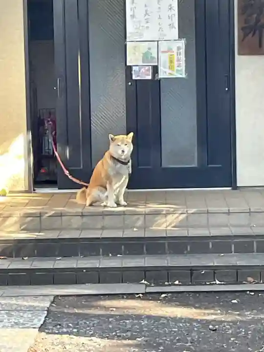 笠䅣稲荷神社(神奈川県)