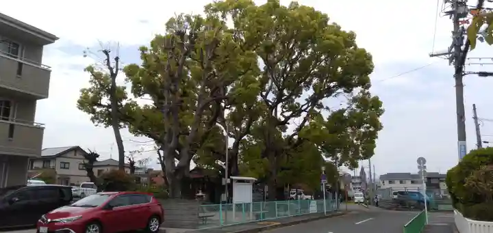 伯光神社の周辺